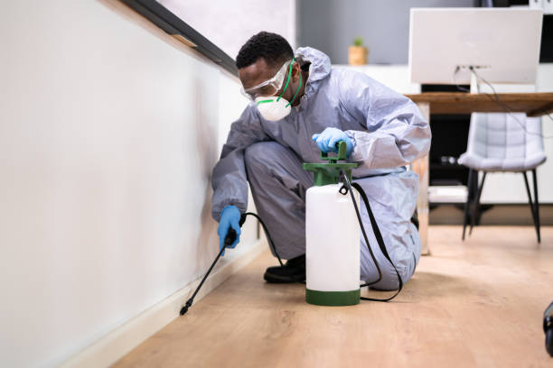 Best Pest Prevention Services  in Wilton, CA